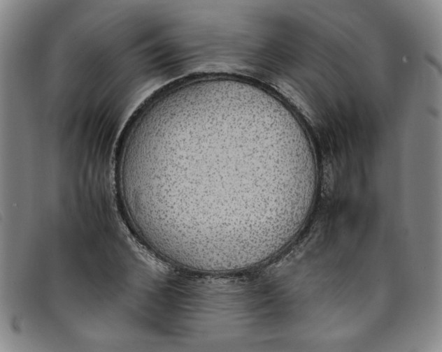 X0000097880976200804041610