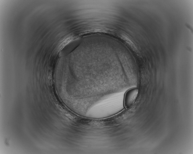 X0000097880977200804041610