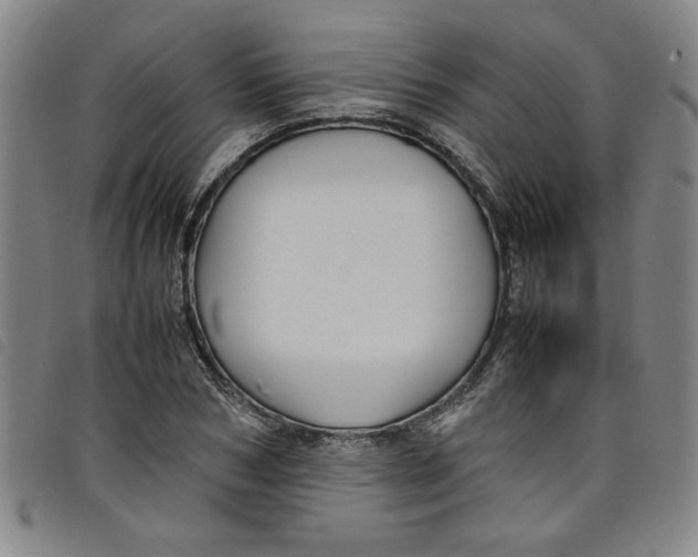 X0000097880978200804041610