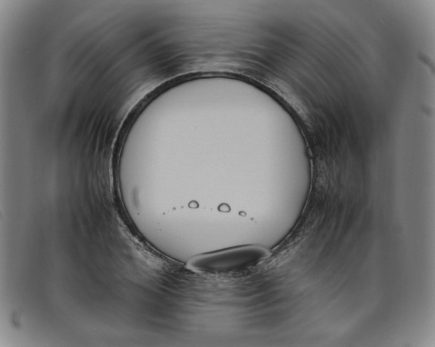 X0000097880980200804041610