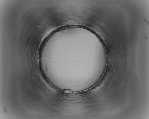 X0000097880981200804041610