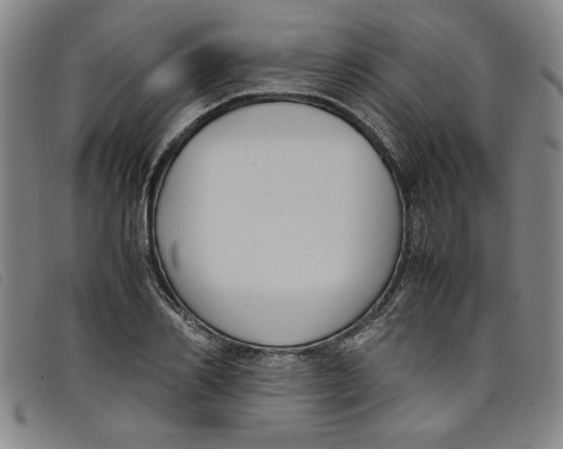 X0000097880982200804041610