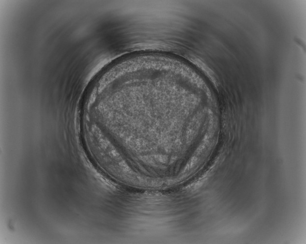 X0000097880983200804041610