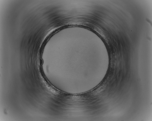 X0000097880984200804041610