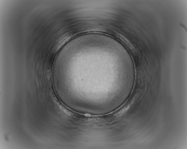 X0000097880985200804041610