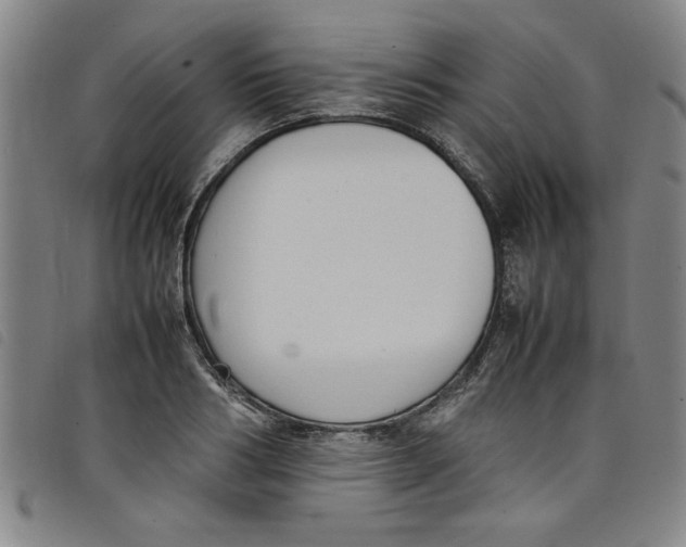 X0000097880986200804041610