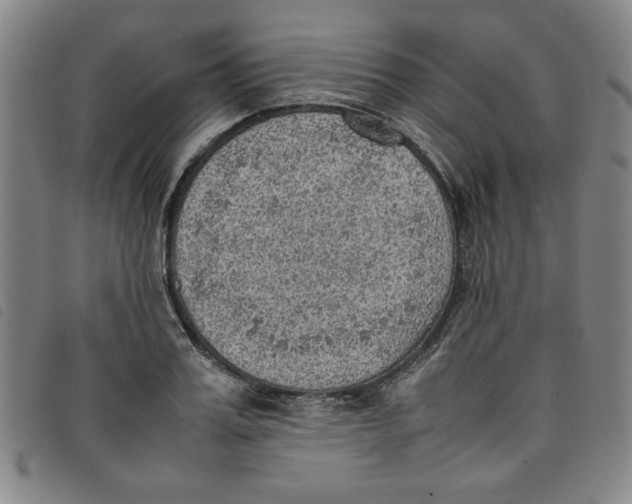 X0000097880987200804041610