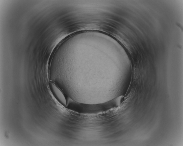 X0000097880988200804041610