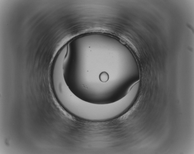 X0000097880989200804041610