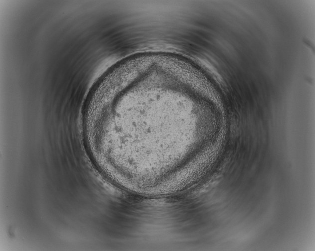 X0000097880990200804041610