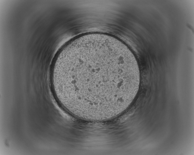 X0000097880991200804041610