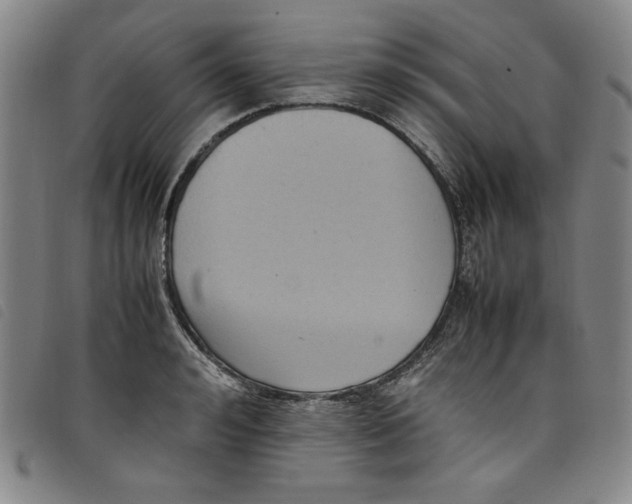 X0000097880992200804041610