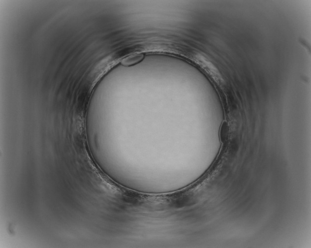 X0000097880993200804041610