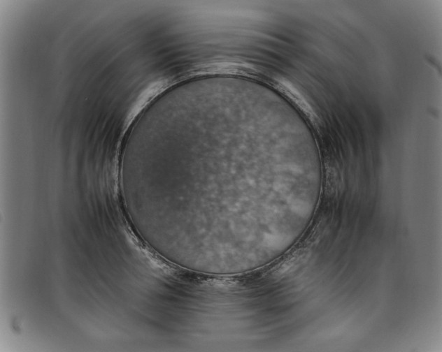 X0000097880994200804041610