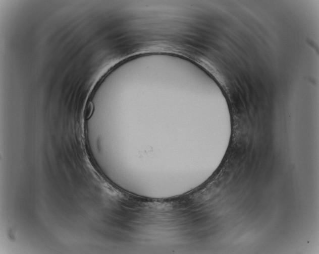 X0000097880996200804041610