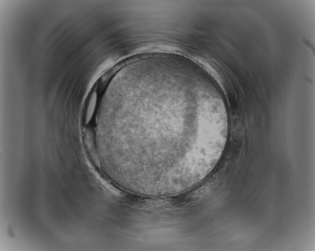 X0000097880997200804041610