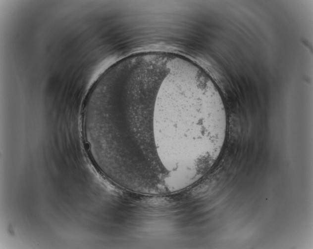 X0000097880998200804041610