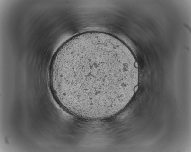 X0000097880999200804041610