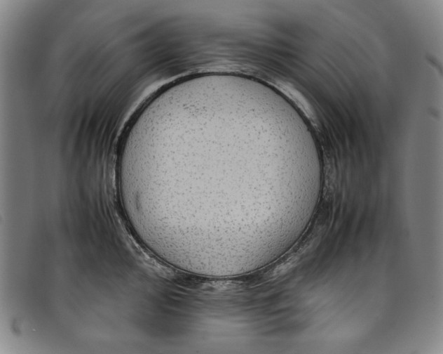 X0000097881000200804041610