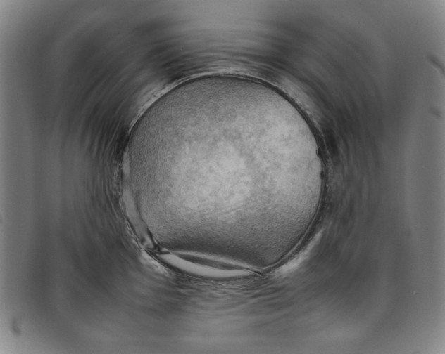 X0000097881001200804041610