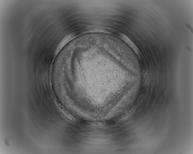 X0000097881002200804041610