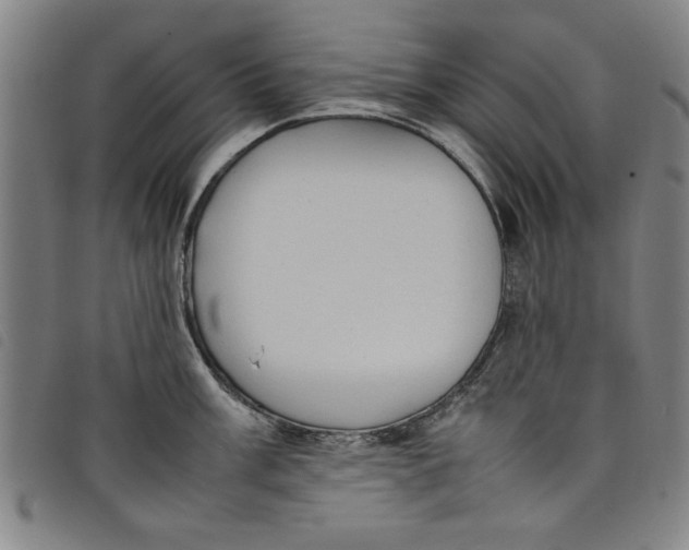 X0000097881003200804041610