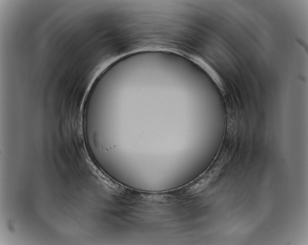 X0000097881004200804041610