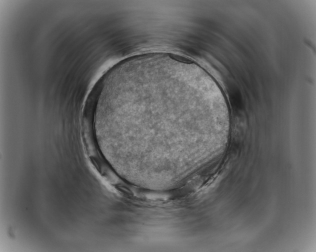 X0000097881005200804041610