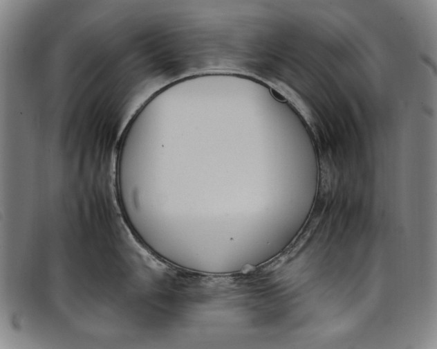 X0000097881006200804041610