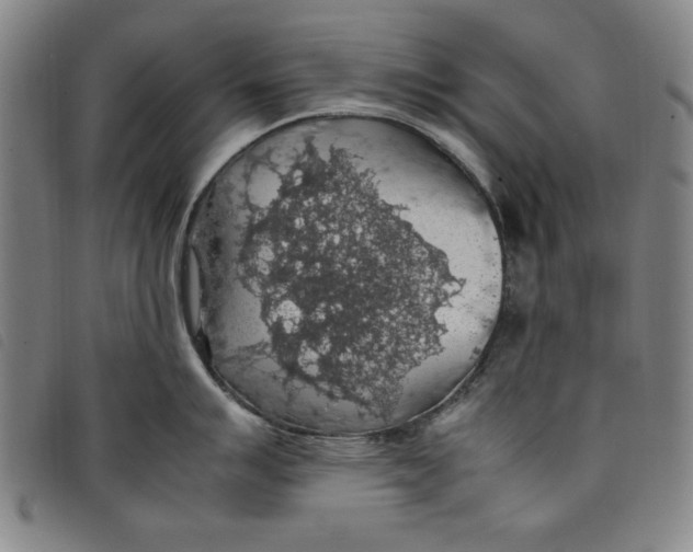 X0000097881007200804041610