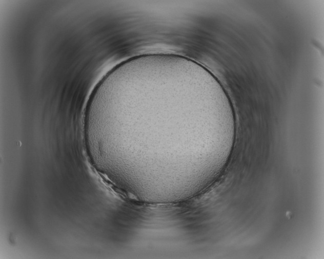 X0000097881008200804041610