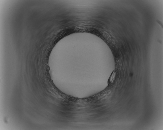 X0000097881009200804041609