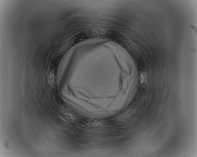 X0000097881011200804041609