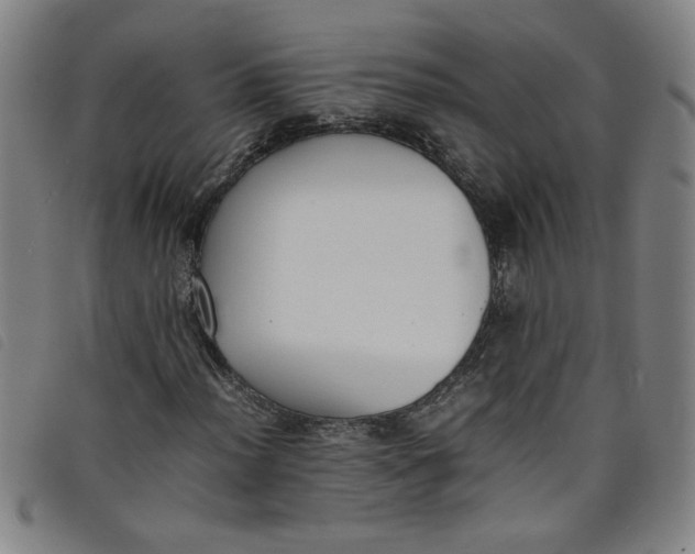 X0000097881012200804041609