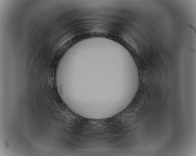 X0000097881015200804041609