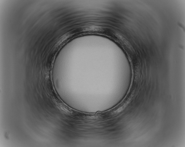 X0000097881017200804041609