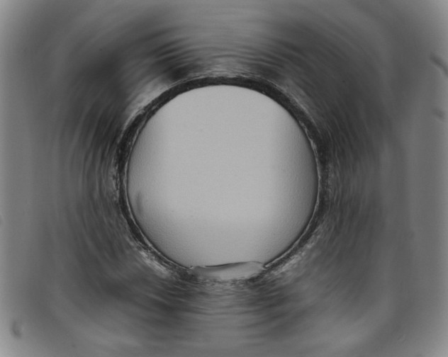 X0000097881018200804041609