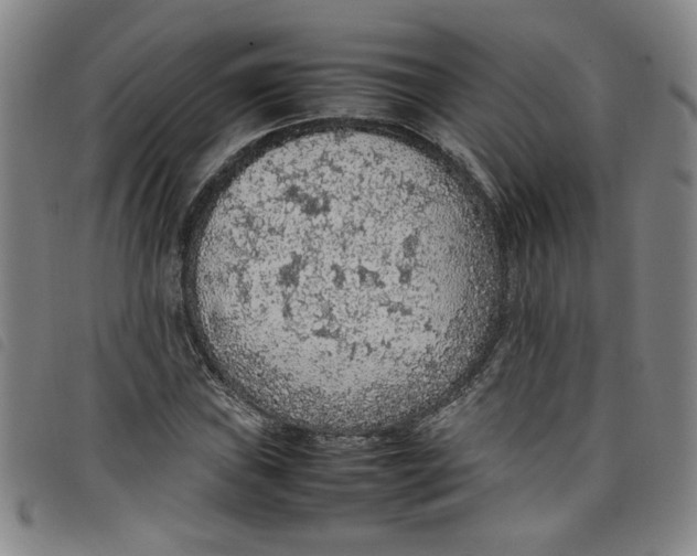 X0000097881019200804041609