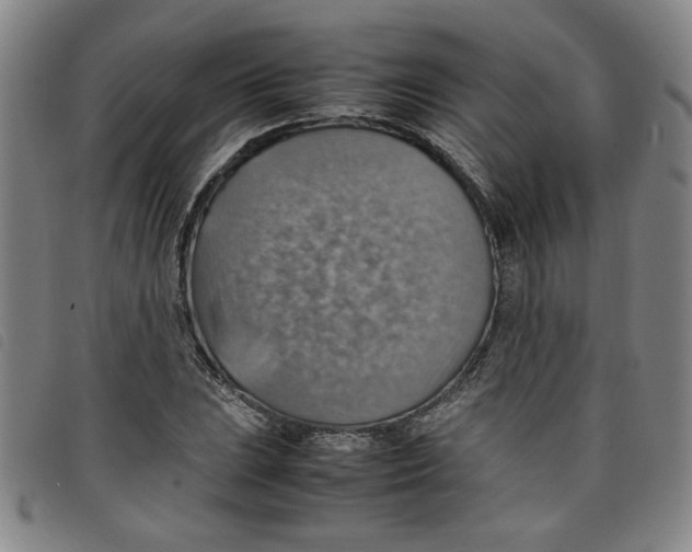 X0000097881023200804041609