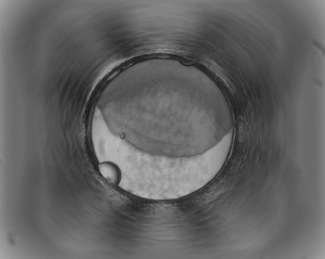 X0000097881024200804041609