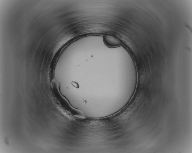 X0000097881026200804041609