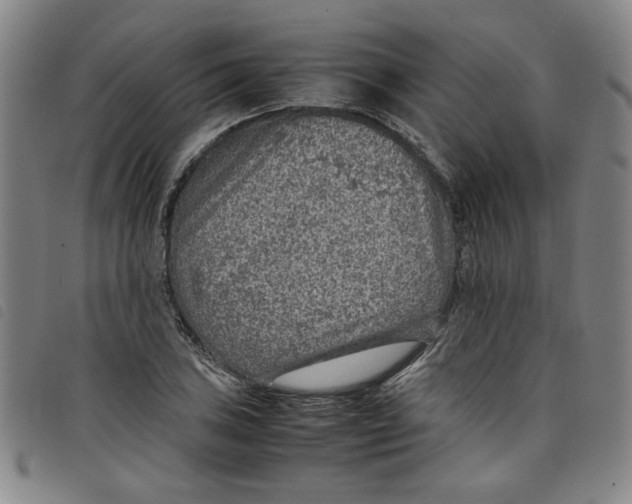 X0000097881027200804041609