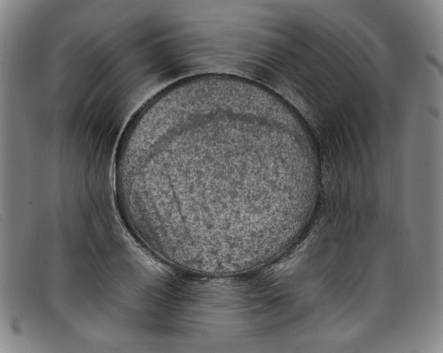 X0000097881028200804041609