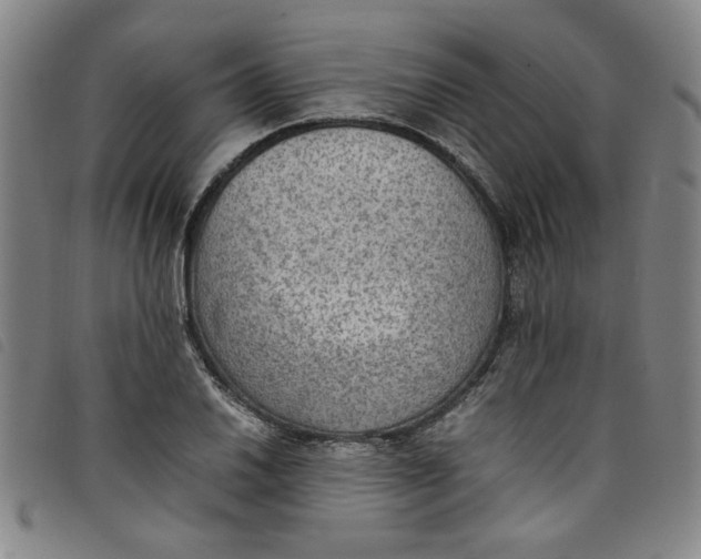 X0000097881030200804041609