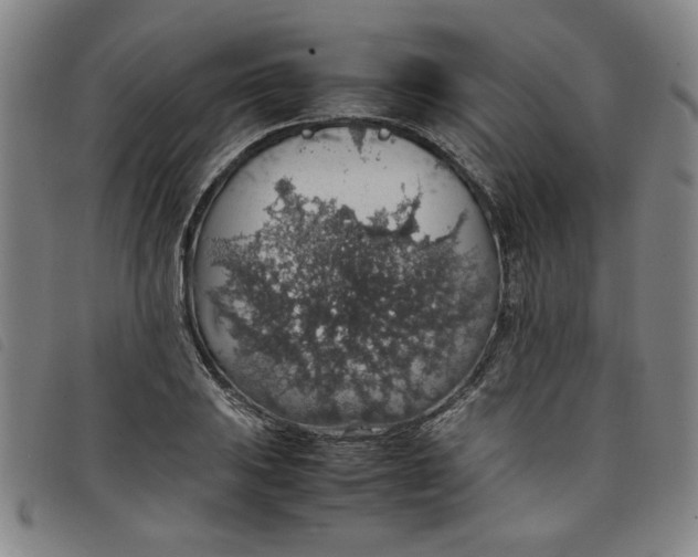 X0000097881031200804041609