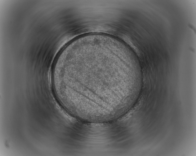 X0000097881032200804041609