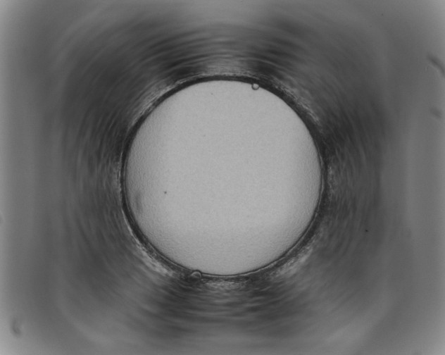 X0000097881033200804041609