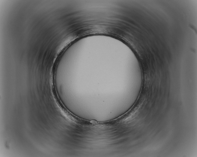 X0000097881034200804041609