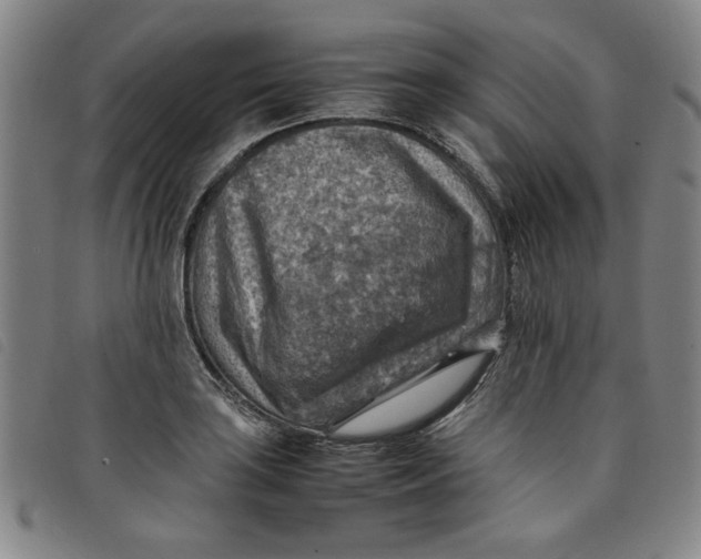 X0000097881035200804041609