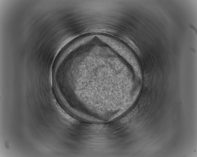 X0000097881036200804041609